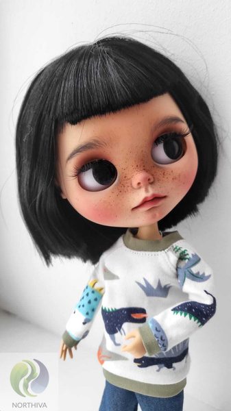 Кукла Блайз Кастом (Blythe custom) - Фотограф